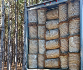 Selling Wholesale Baled Pine Straw to Retail Store Locations